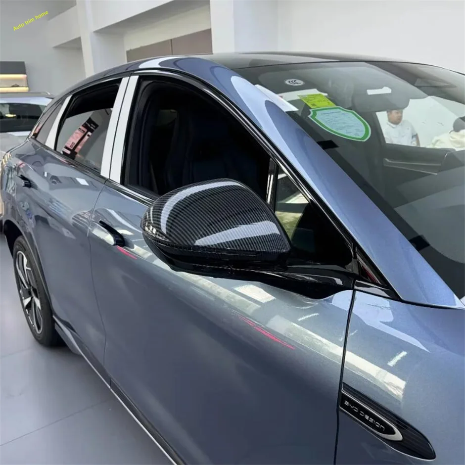 ABS Carbon-Look Door Handle & Mirror Trim for BYD Sealion - Image 5