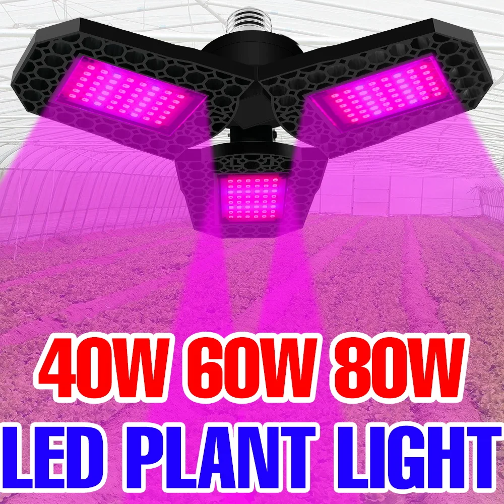 

Светодиодная лампа для растений 80 Вт, полный спектр, E27, складная, для гидропоники, выращивания, теплиц, цветов и овощей