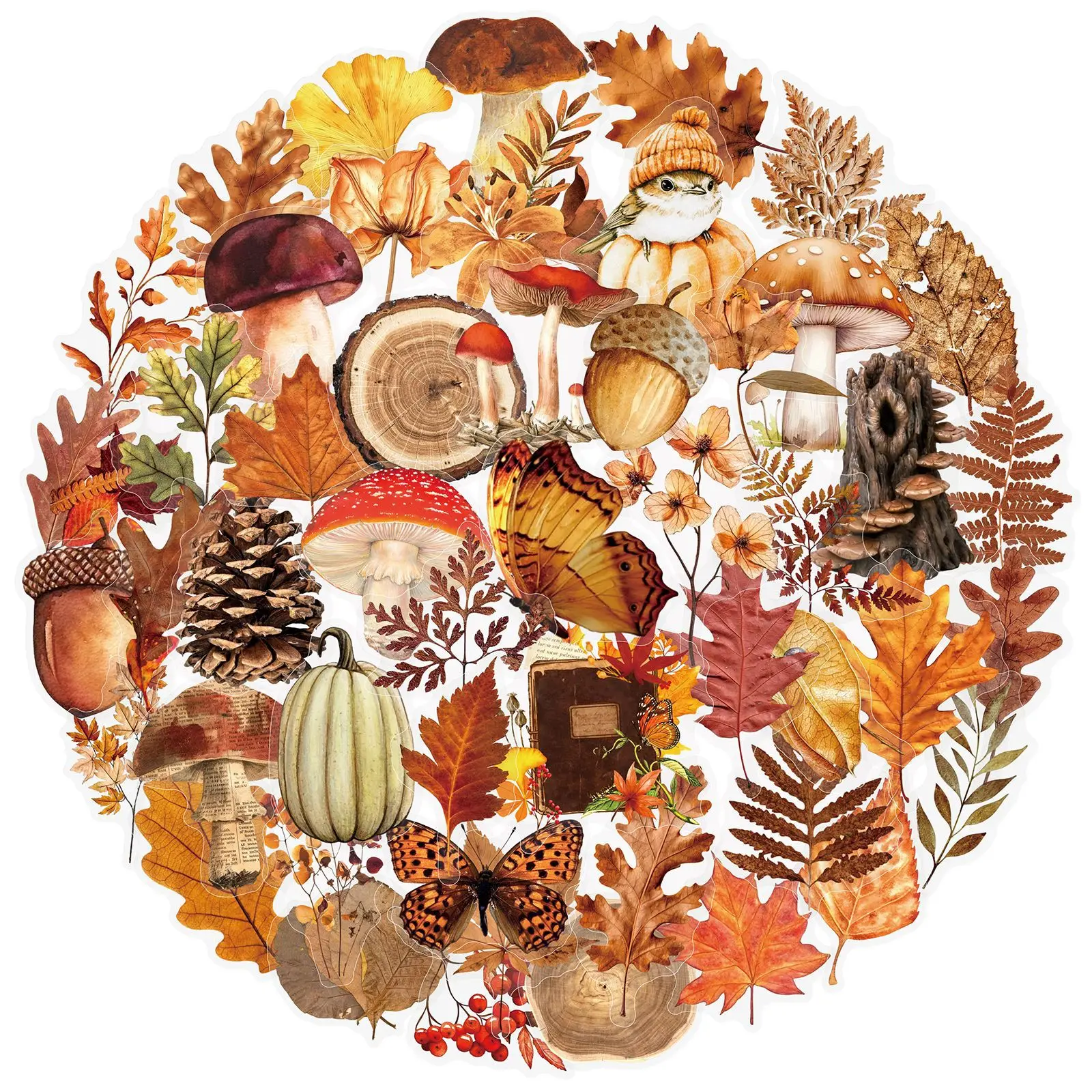 50Pcs Autumn Forest Plant Transparent Stickers Decals for Luggage Notebook Journal Specimen DIY Decoration
