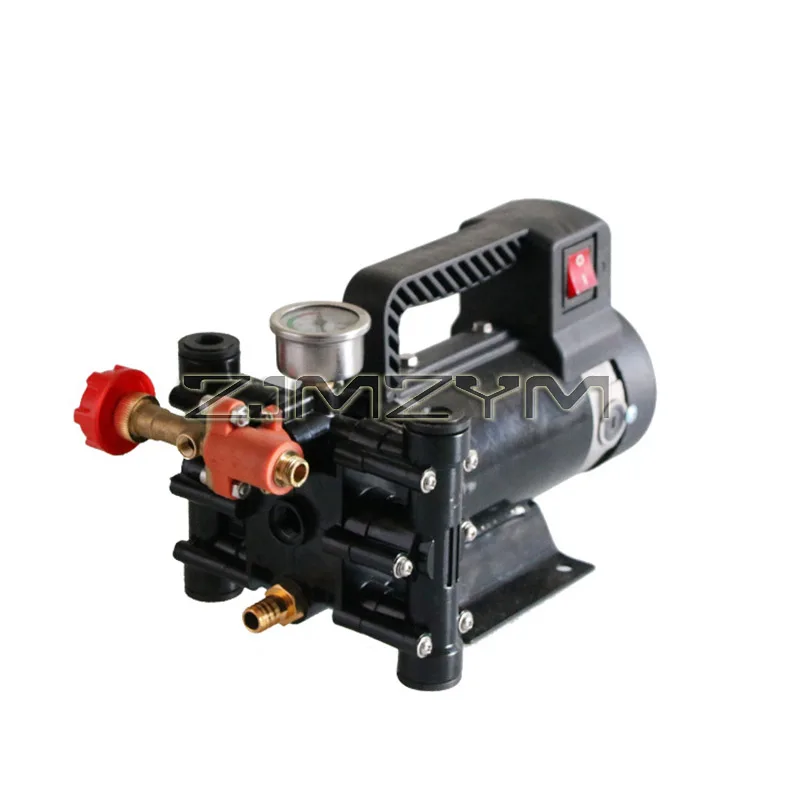 Agricultural Electric High Pressure Pump Spraying Watering Irrigation Double Cylinder Piston 12V/48V/60V 220W