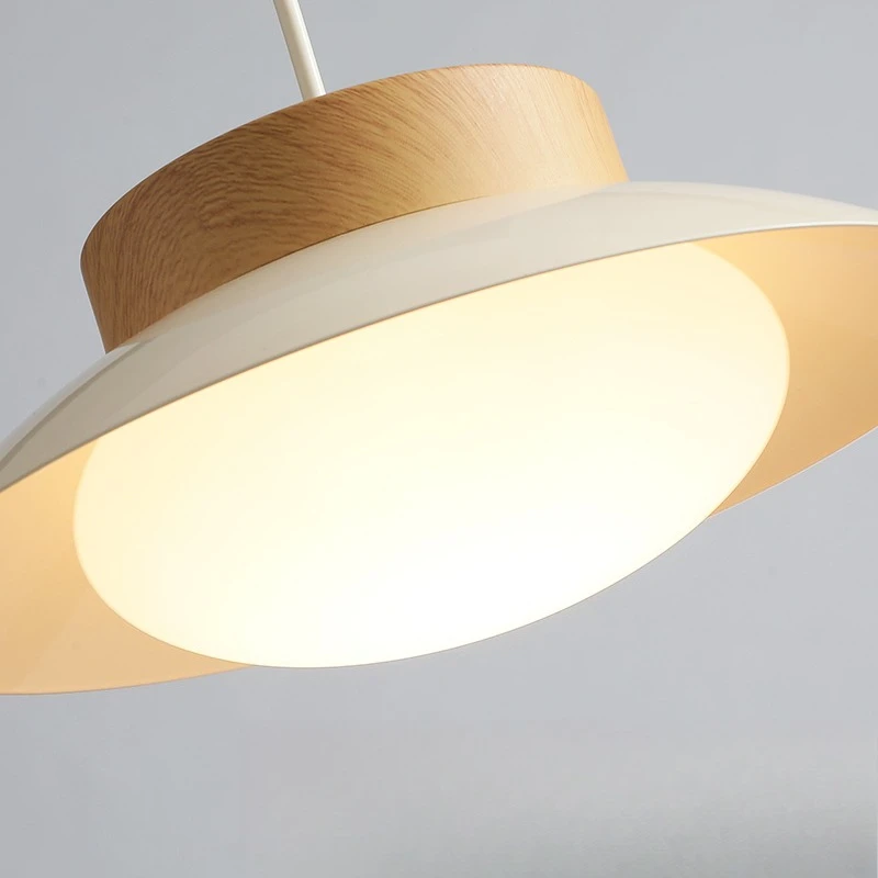 Lampada a sospensione creativa da tavolo a LED Lampada a sospensione da comodino per camera da letto Lustre Lampadario Lampada a sospensione Sala da pranzo Ristorante