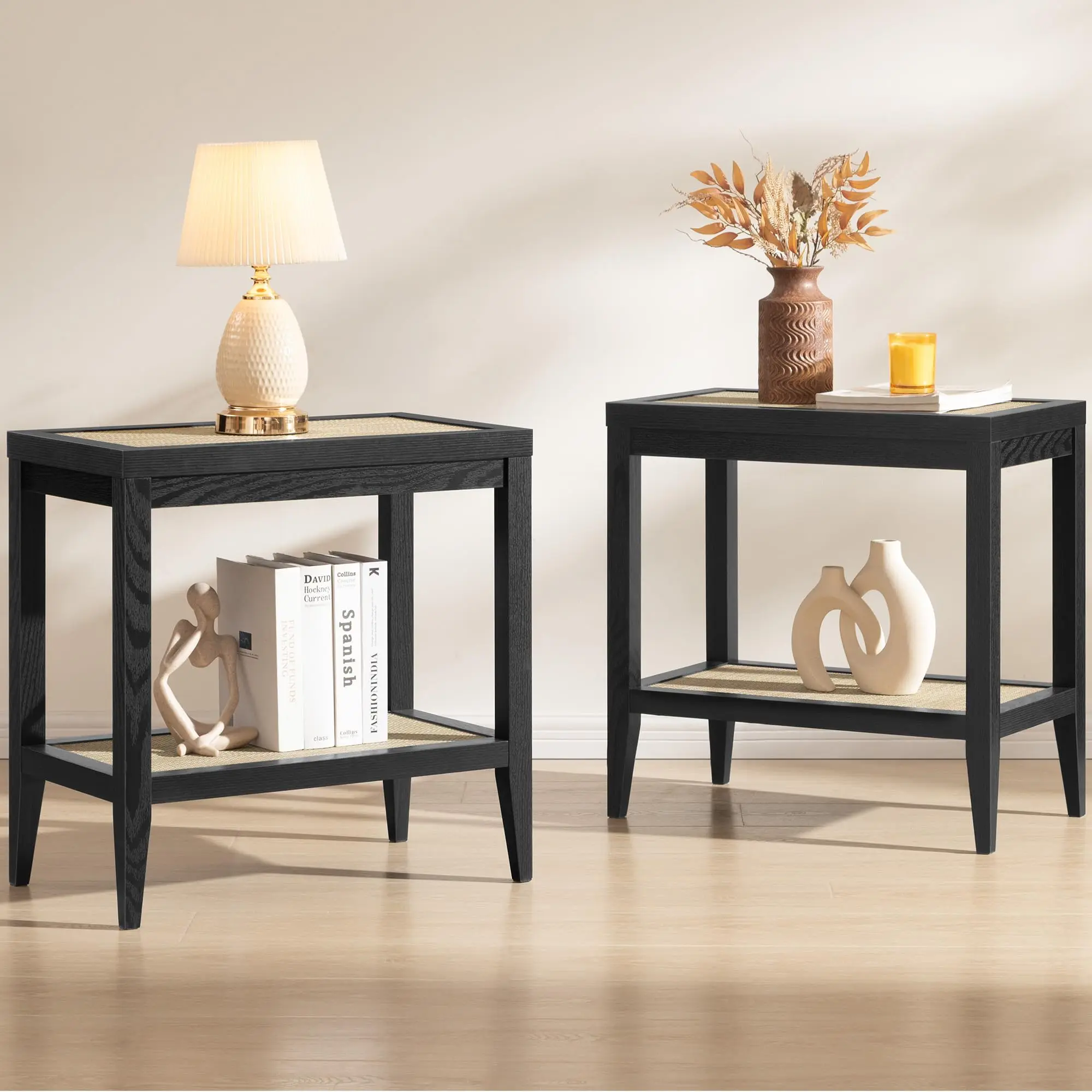 Rattan Bedside Table Set of 2, End Table with Storage