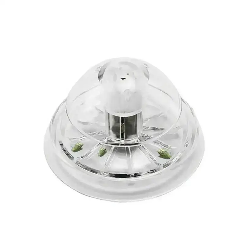 2026 New 6/8CM Clear Plastic S - Aquarium Planted Tank review and price