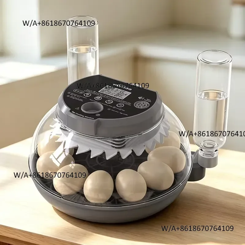 Durable WONEGG New Chicken Auto Control High Hatching Rate Poultry T12 Voice