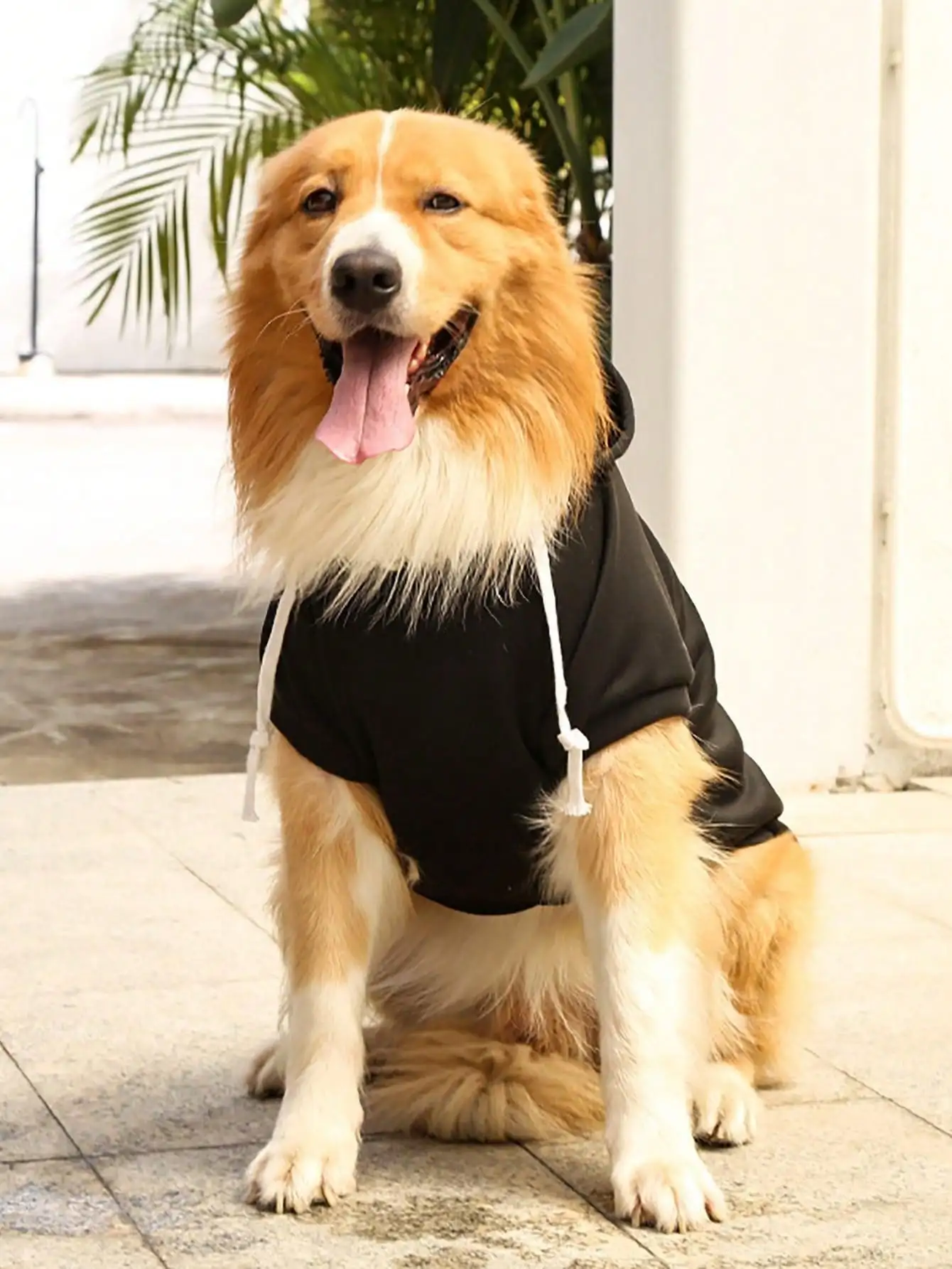 Dog Hoodie Premium Dog Sweater for Small, Medium, and Large 