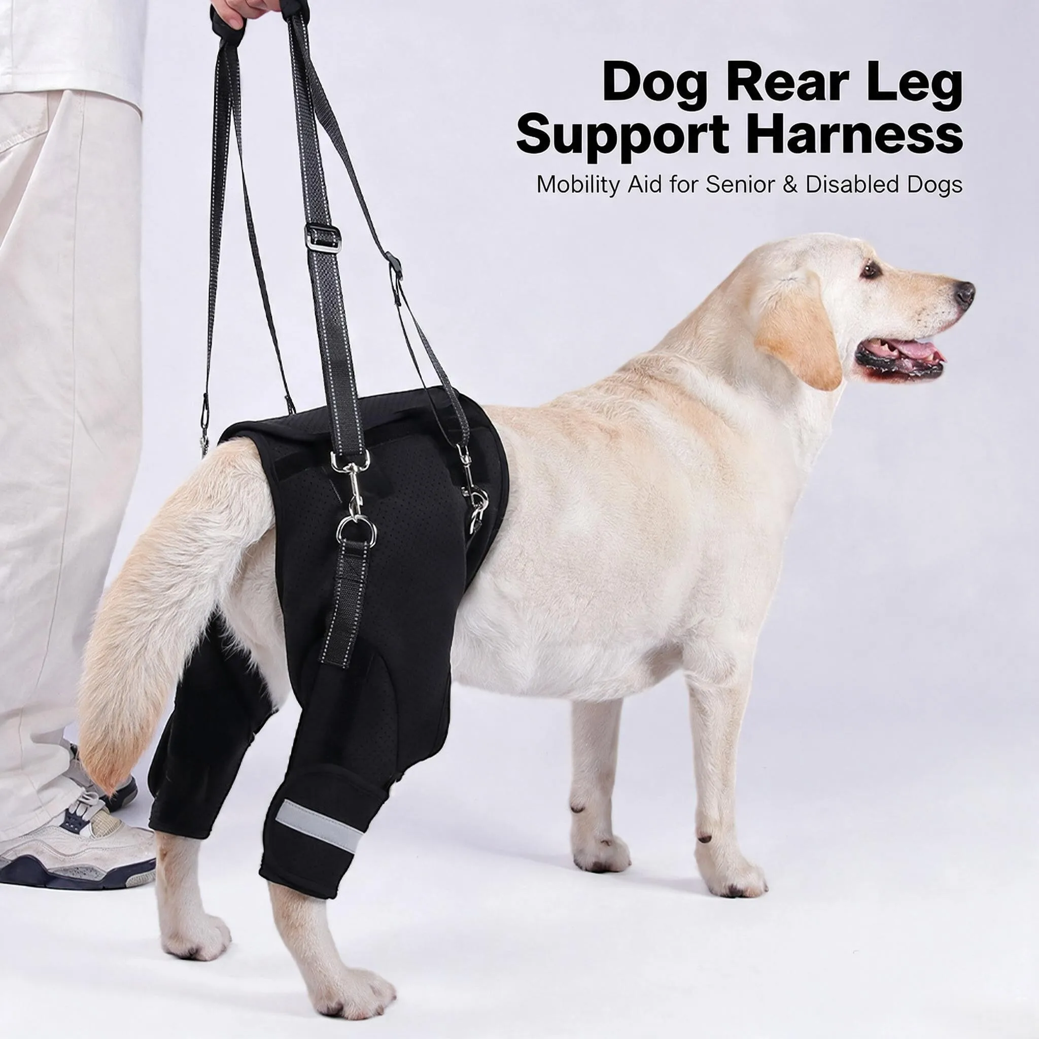legs-hip-support-dog-lift-harness-adjustable-pet-aid-assist-tool-breathable-soft-padded-dog-rear-leg-support-golden-retrievers