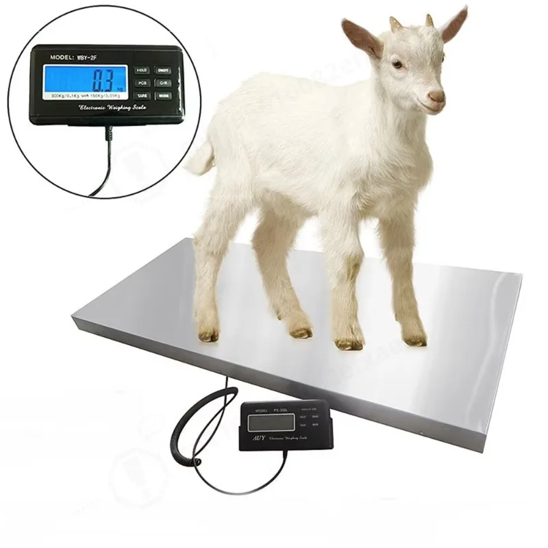 300KG Digital Postal Scale Electronic Weight Scale High Precision Weighing Scale For Warehouse Logistics Post Office