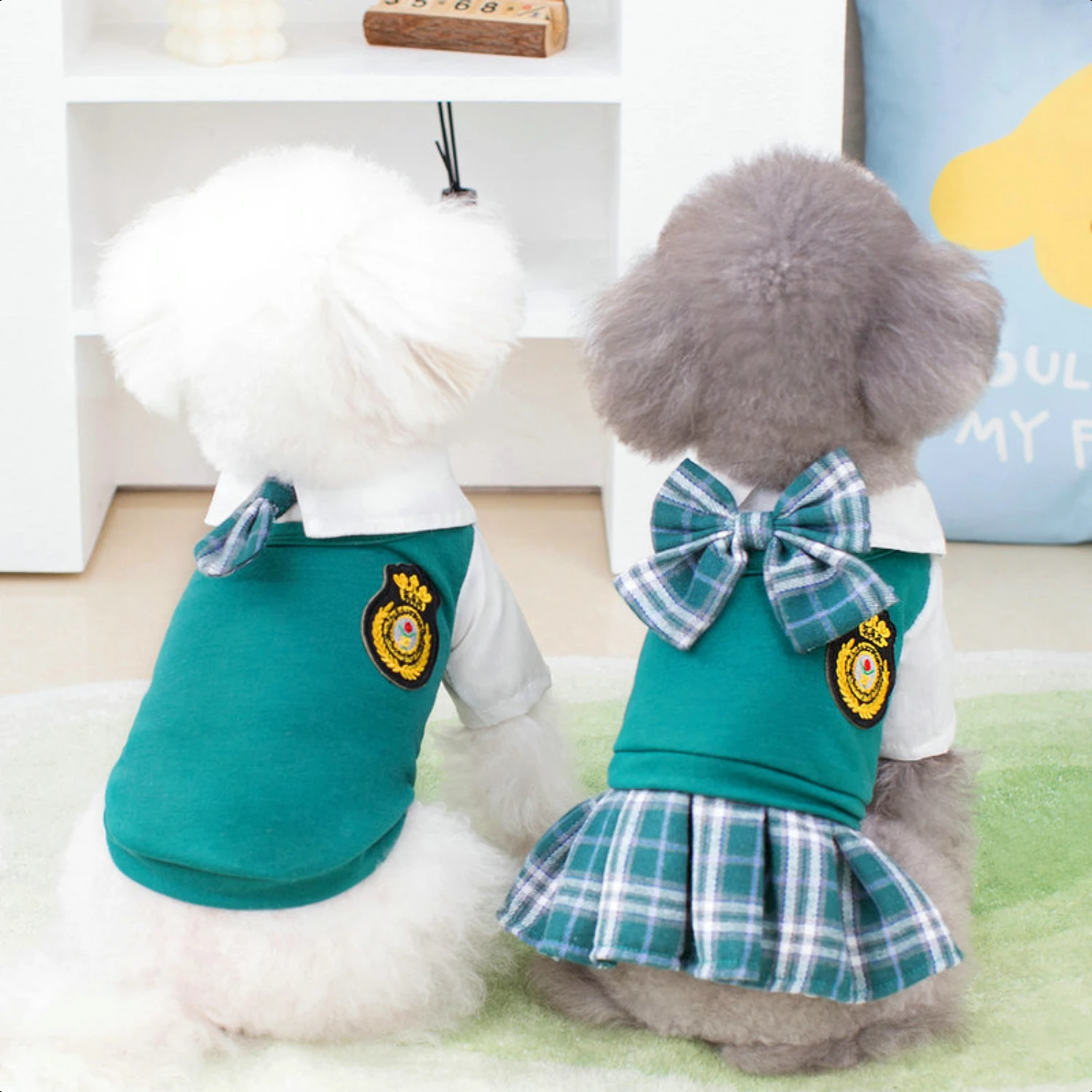 Impress your four-legged friend with this fabulous, trendy, and stylish collection of pet outfits. Stand out from the crowd and 