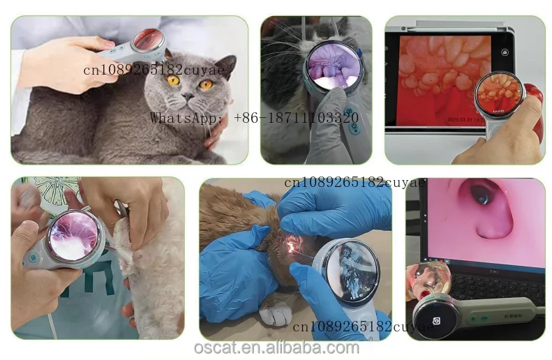 Veterinary Equipment Pet Otoscope Digital Video Otoscope Veterinary Machine WiFi Image Capture RAE-500