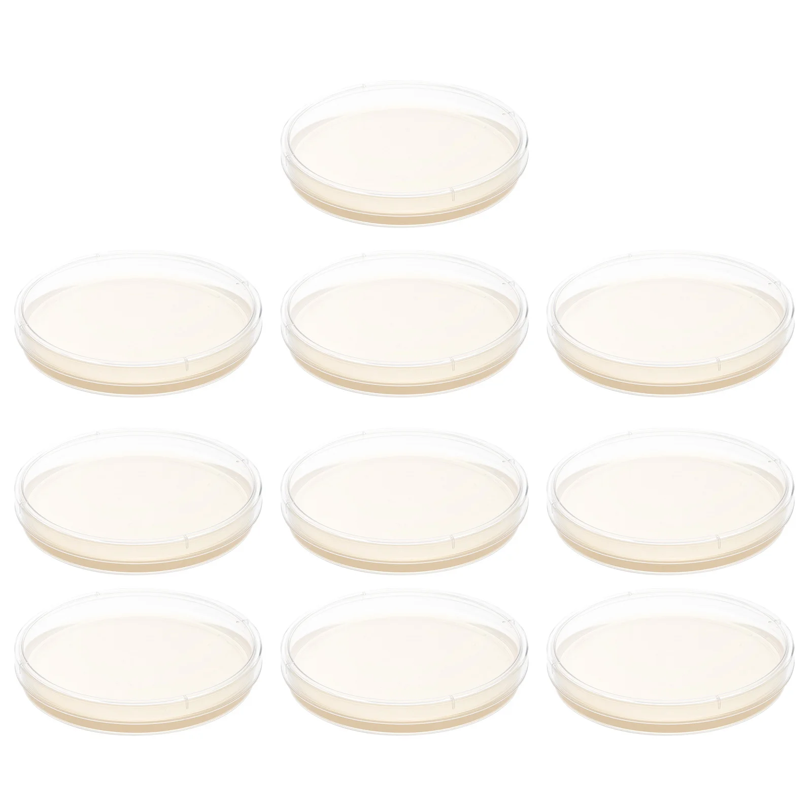 

10Pcs Nutrient Agar Plates Pre-Poured Petri Plates Science Learning Projects Labs Culture Storage Medium Agar Plate