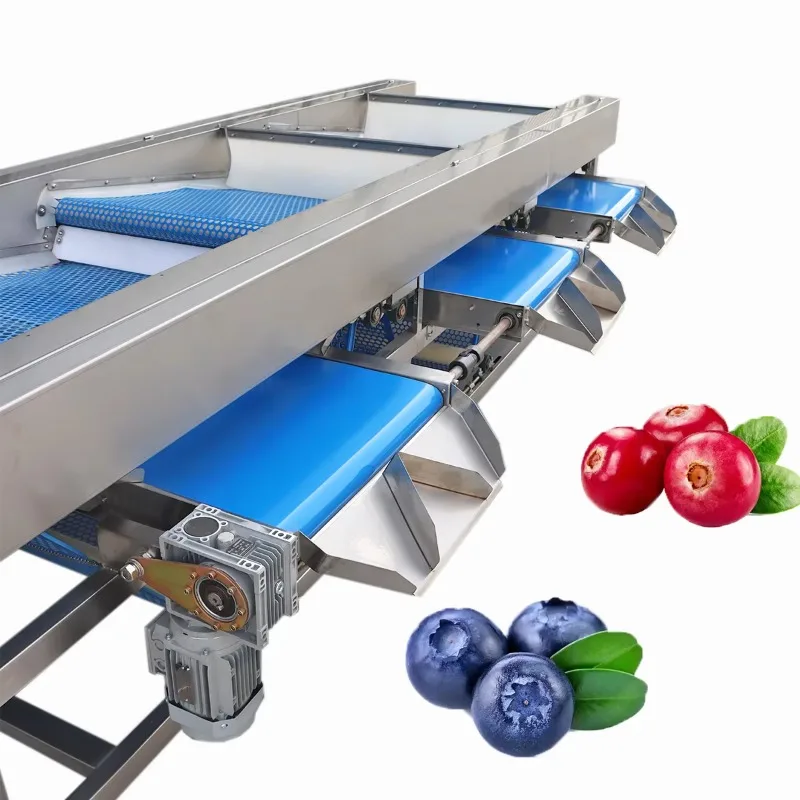 Durable Electric Vegetable Sorting Grader with 1 Year Warranty for Potato, Onion, Garlic | Heavy Duty, Continuous Operation