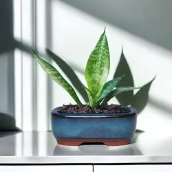 Ceramic Flower Pots with Drain Hole with Vent Design Easy to  for Indoor and Outdoor Plants