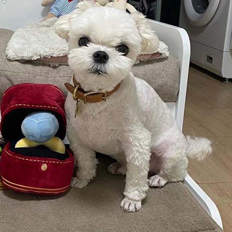 반려동물 식품 장난감, 링 박스, 봉제 애완 동물 장난감, 강아지 소리, 어린이 소프트 개, 흥미있는 장난감, 1 개