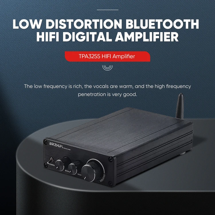 BRZHIFI Hi-end DAC TPA3255 Audiophile 300W*2 BT 5.0 LDAC APTX Stereo Audio Desktop Digital Amplifier