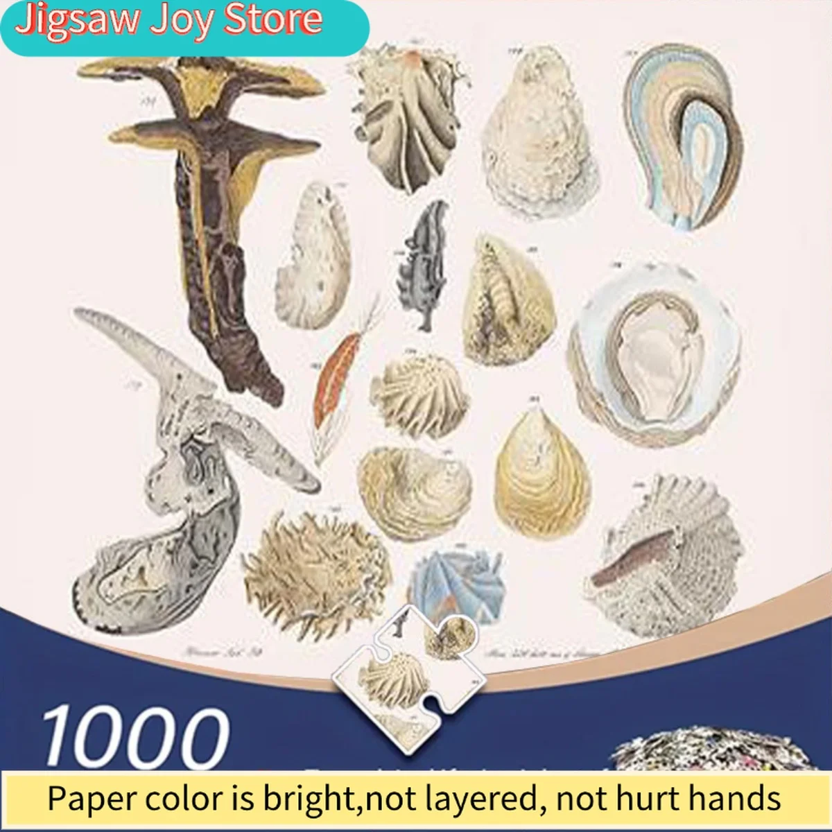 

Пазл для взрослых с нарисованными вручную иллюстрациями различных окаменелостей ракушек, идеально подходит для образовательных целей.