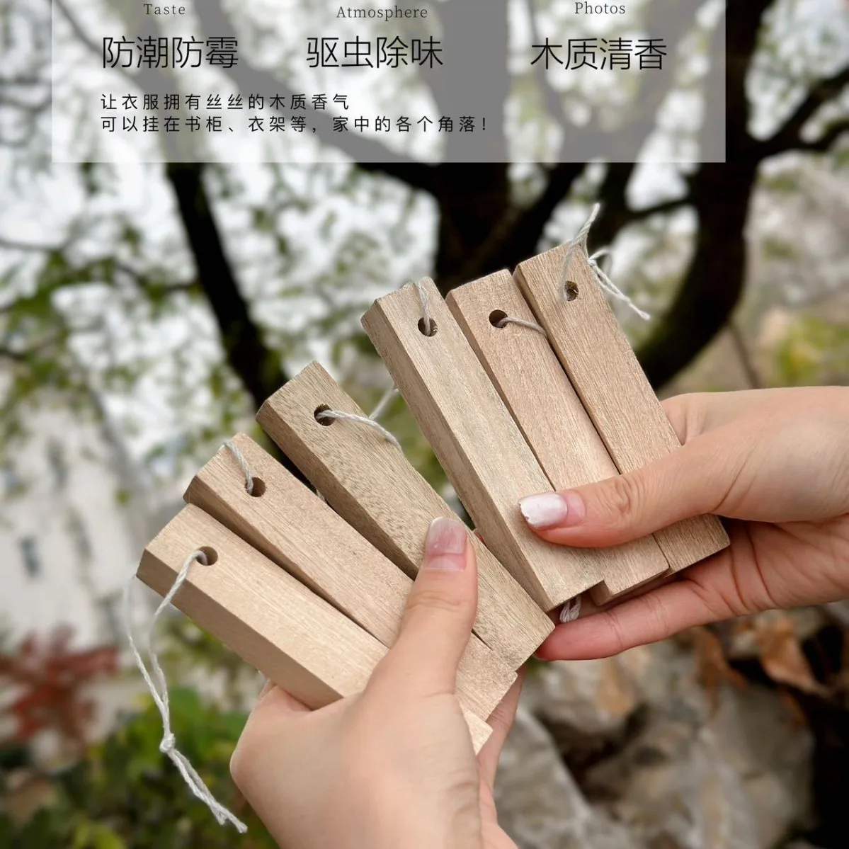 Natural Camphor Wood Sticks Wardrobe Insect Moth Repellent Mildew Proof Odor Remover Aroma Diffuser Home Non-toxic Deodorant