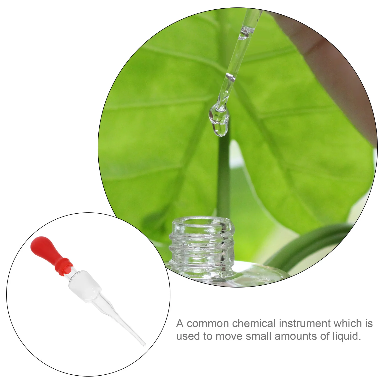 

10 Pcs Liquid Precise Measuring Pipette Dropping Pipettes Eye Droppers for Glass Transfer Laboratory