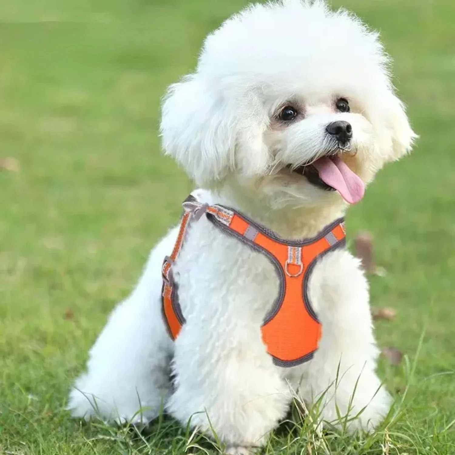 

Cozy and Secure High-Quality Padded Chest Strap for Small to Medium-Sized Dogs, Ensuring Maximum Comfort and Safety on Daily Wal