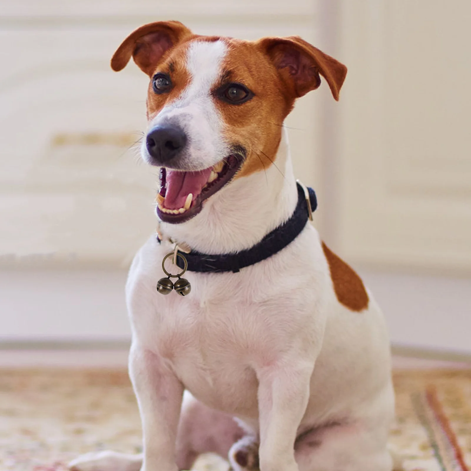 

1 set Pet Collar Bells Compact Metal Cat Dog Bell Decorative Wear-Resistant Hanging Charm For Puppy Kitten Small Pets