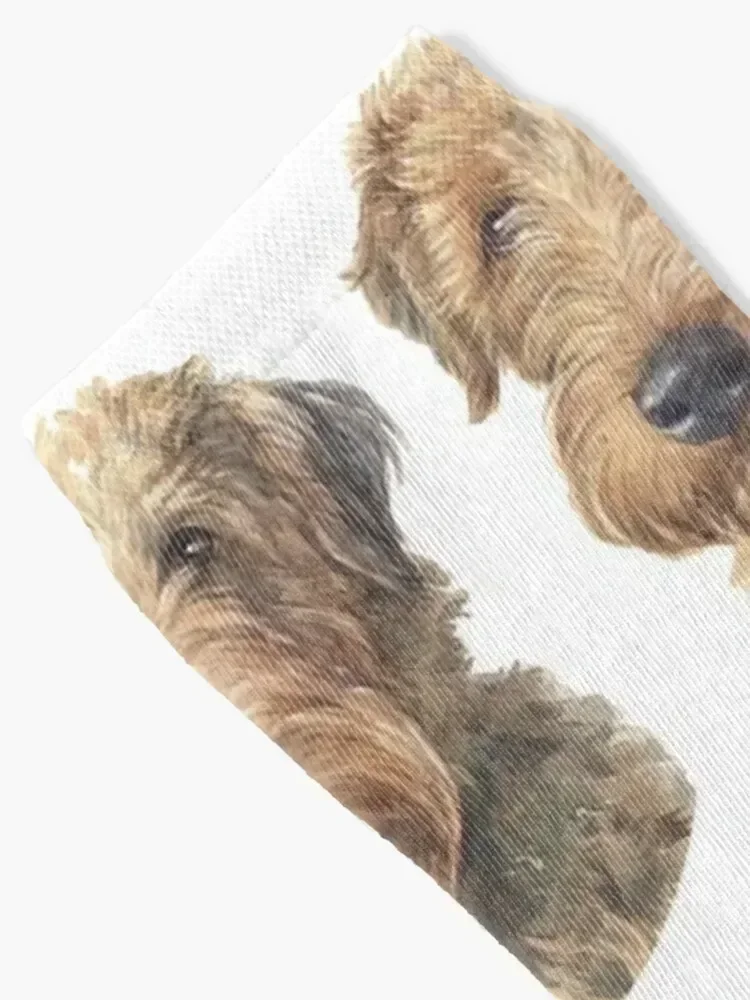 الويلزية جحر المائية الفن الجوارب تو الرياضة الهيب هوب اليابانية الأزياء الفاخرة الرجال الجوارب الفاخرة المرأة #2