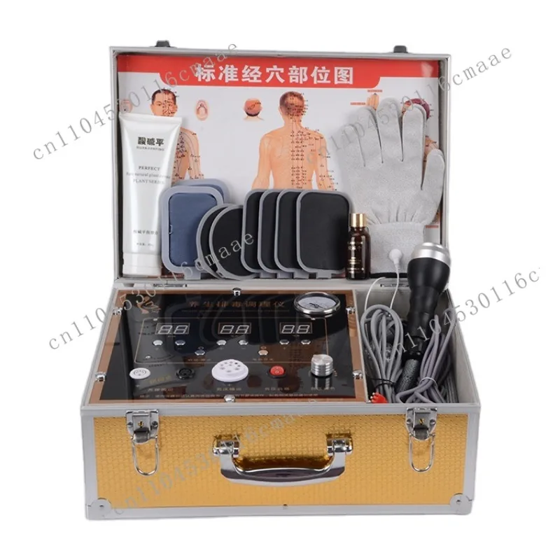 The Latest Health Detoxification Conditioning Instrument DDS Bioelectrotherapy Massager Analyzer