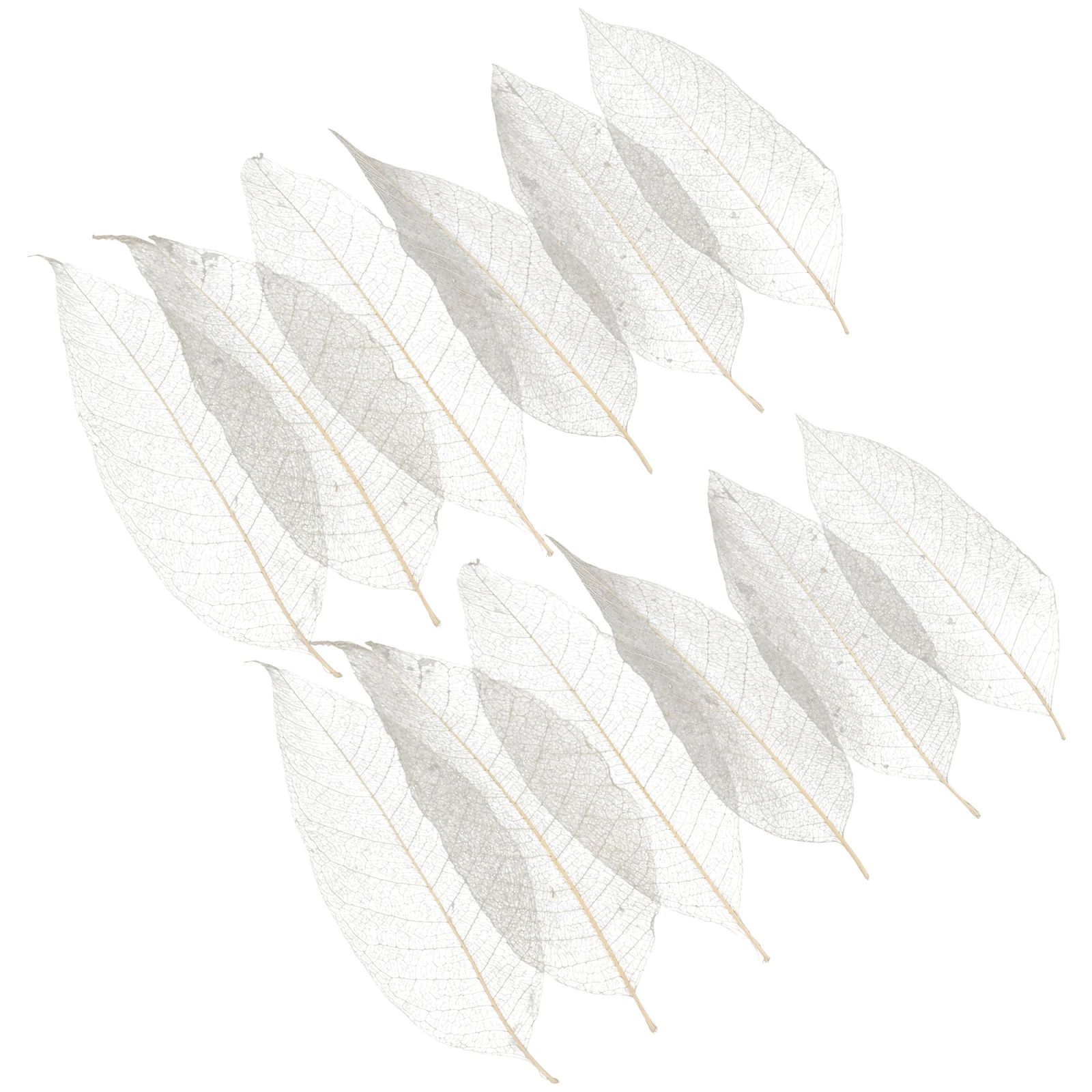 

Leaf Specimens Handmade Natural Rubber DIY Crafts Dried Leaves Bookmark Accessory Scrapbooking Wedding