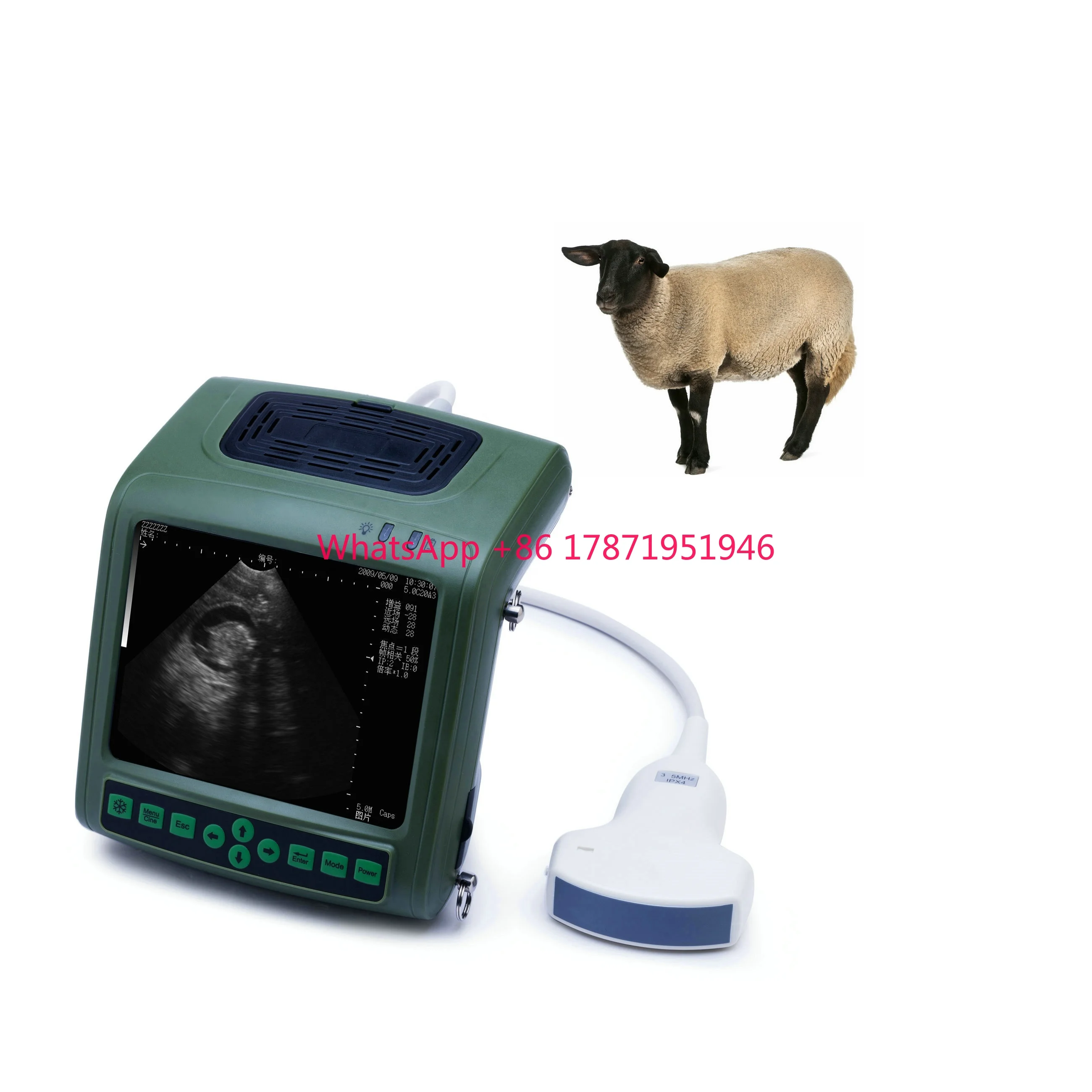 

Handheld cheap portable veterinary ultrasound machine for pig sheep goat