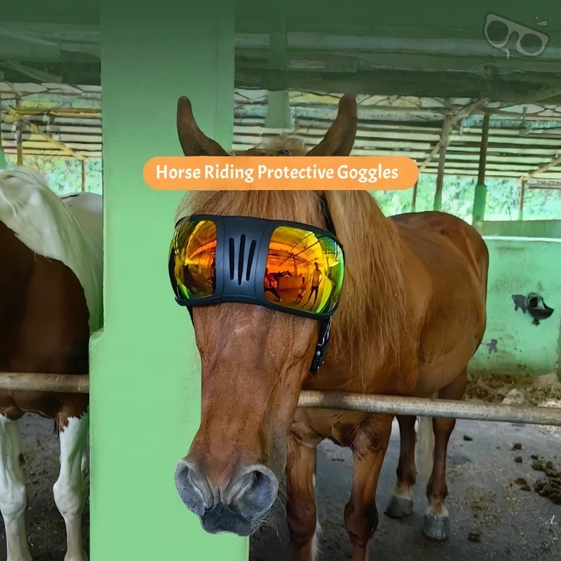 2025 Fashion Horse Racing Pet Glasses UV Windproof Spot Sports Pet Riding Goggles Accessories for Horse Equipment