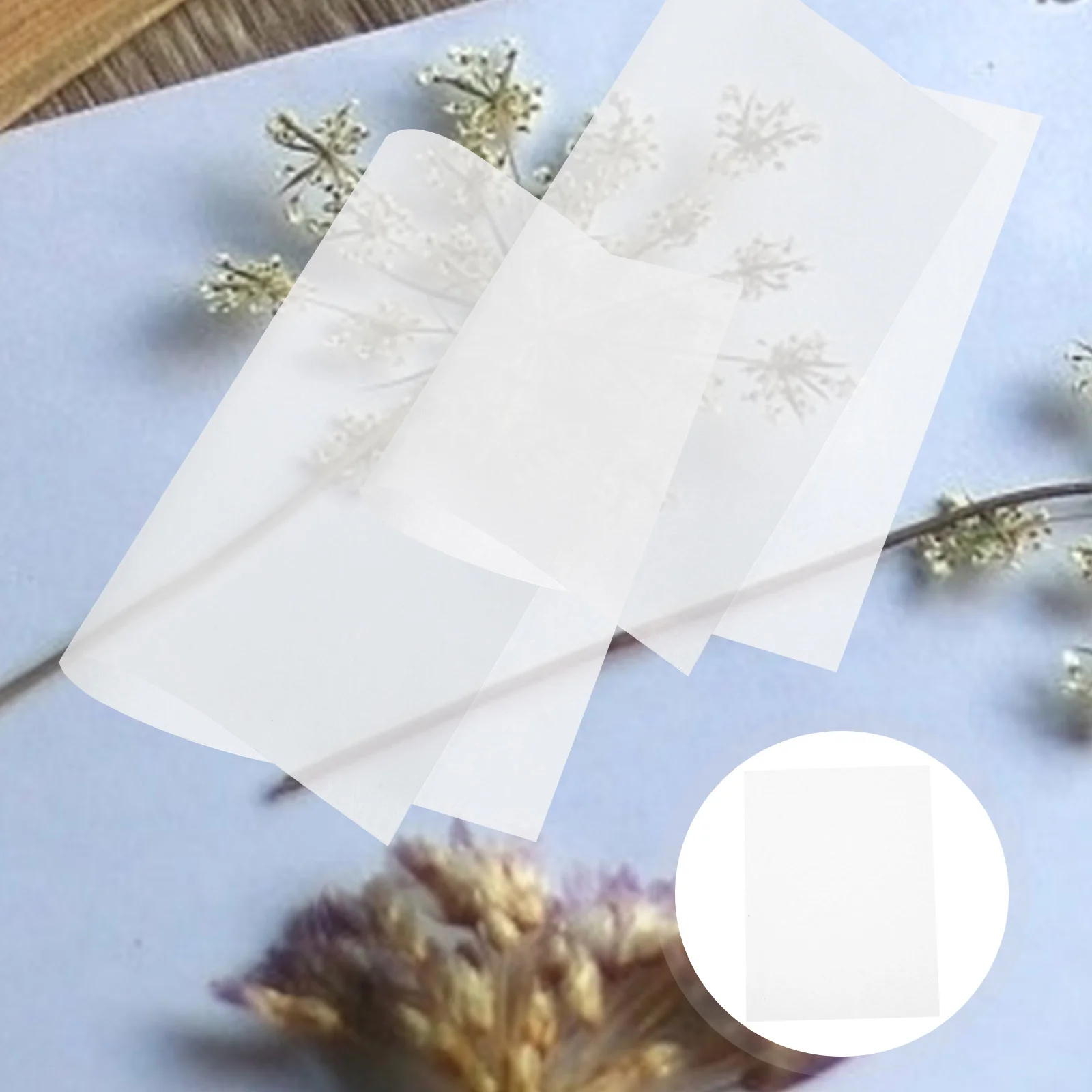 30 Pcs Plant Reusable Flower Pressing Paper Water Absorbing Boards Manual 20X15X001CM Replacement Blotter DIY Materials