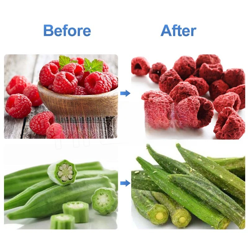 Mini Machine Price Automatic Small Freeze Dryer Drying Equipment For Flower Home Lab