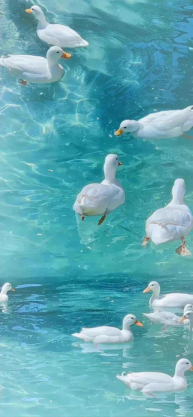 

Aluminum alloy metal tail wing for SCY 1/16 16101 16102 16201 remote control car modification and upgrade accessories