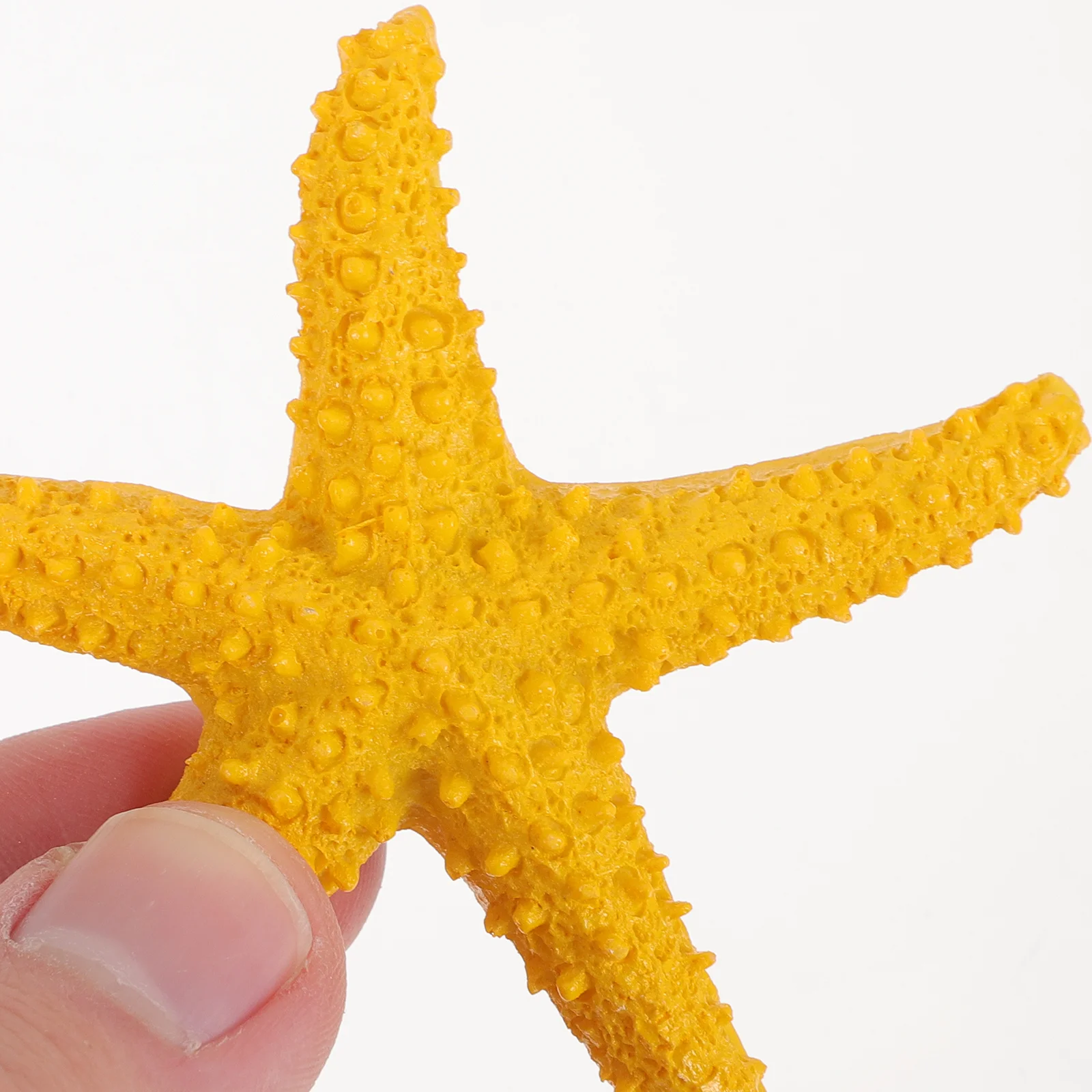 

9Pcs Resin Sea Star Decorations Lifelike Nautical Wall Decor for Living Room Bedroom Office DIY Home Scene Ornament