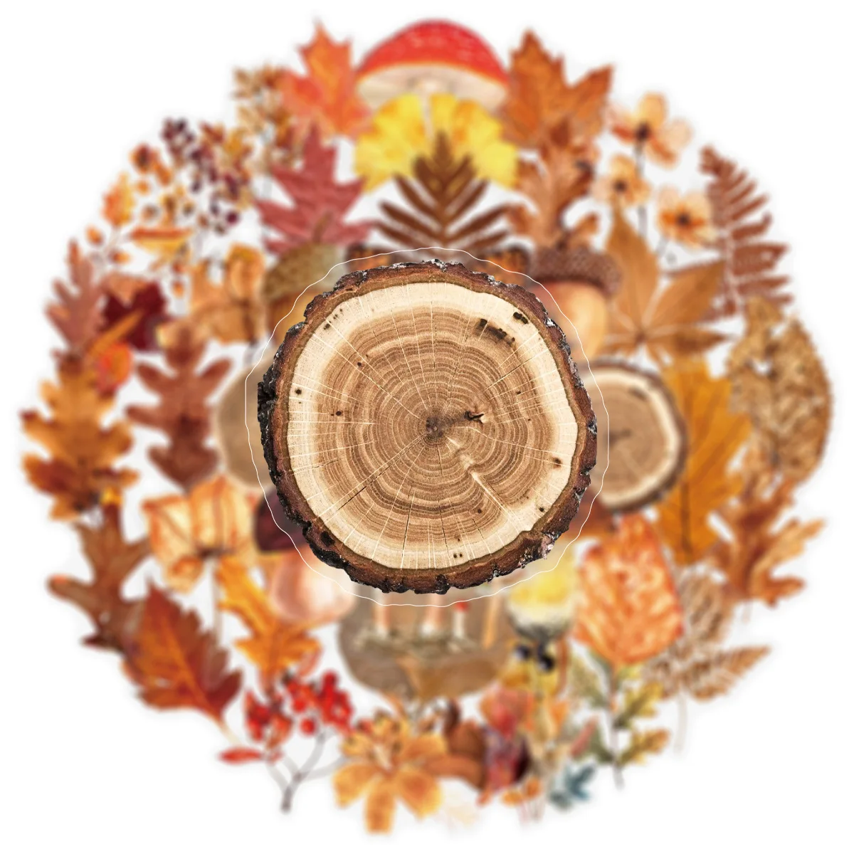 50 Uds Retro seta planta mariposa pegatina impermeable transparente Graffiti calcomanía personalizada DIY taza de agua funda para teléfono móvil