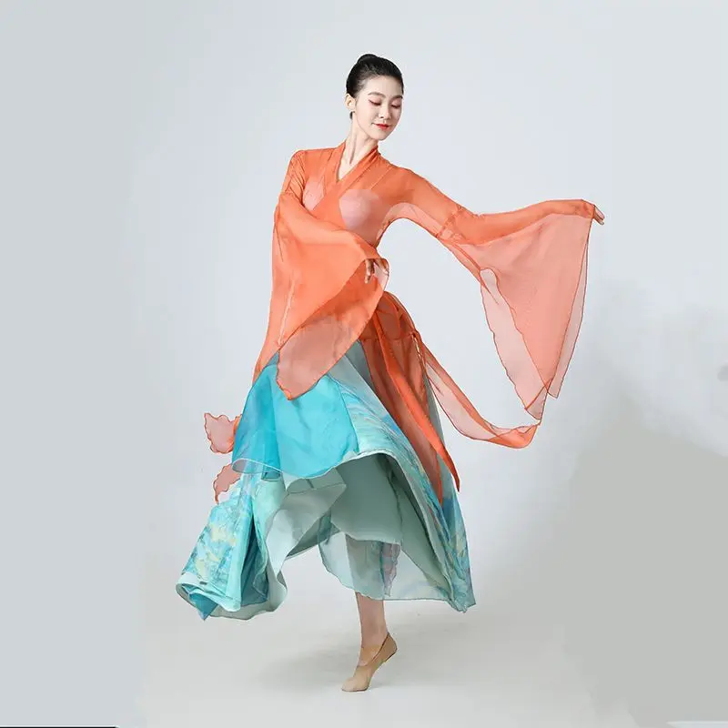Chinese Style Folk Dance Dress Classical Dancer Performance Costumes Elegant Practice Clothes Chinese Chiffon Dnace Costume