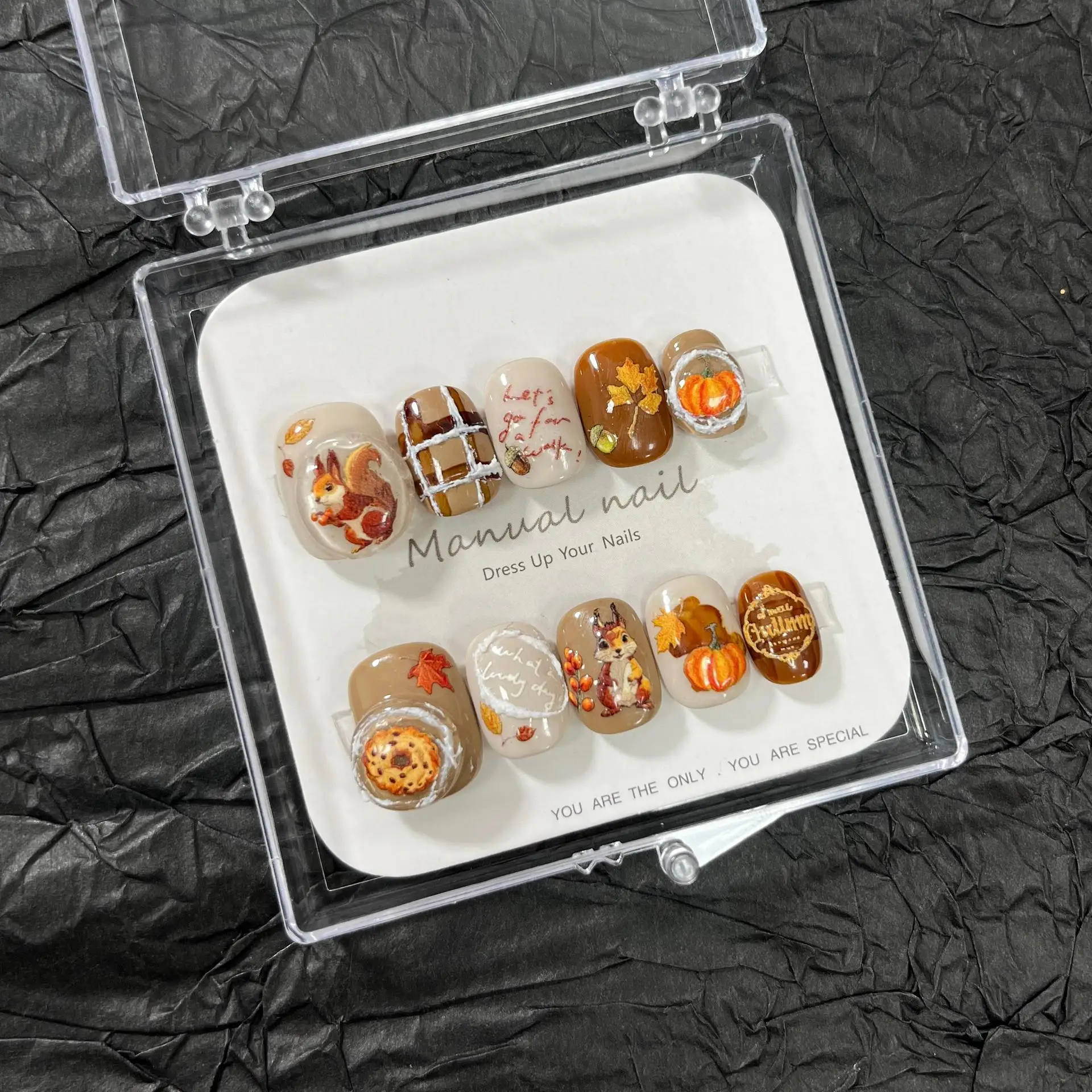 Squirrel Pumpkin Nut Handmade Press On Nails Sweet and Cute Autumn and Winter Maillard False Nail Patches