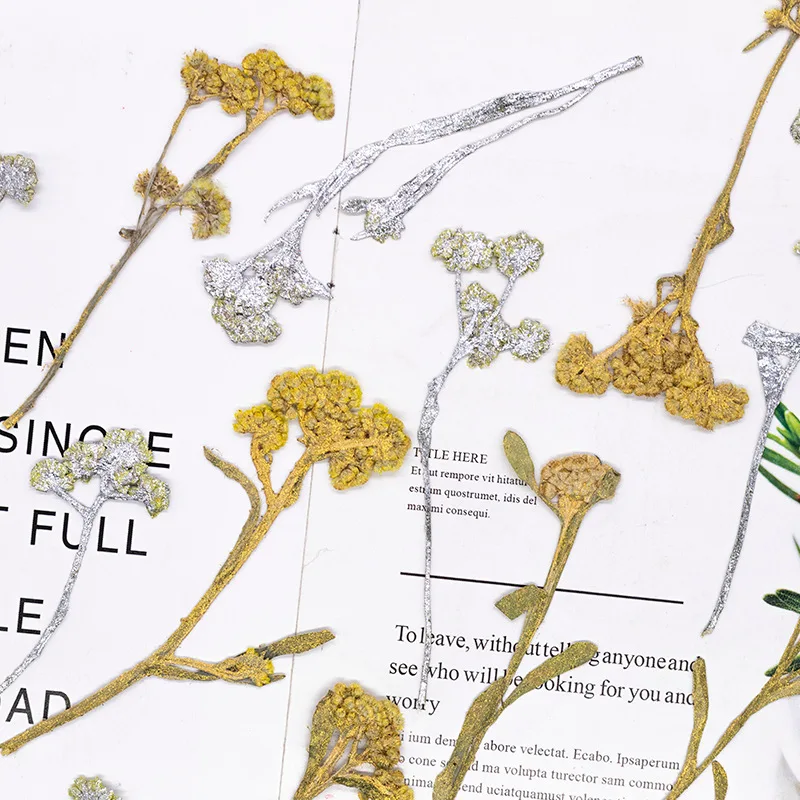 12 Stück, gefärbte gepresste Kreuzkresse-Blumen, getrocknete Pflanzen, DIY-Material für Harz, Lesezeichen, Scrapbooking, Kartenherstellung, Bastelzubehör – Detail 4