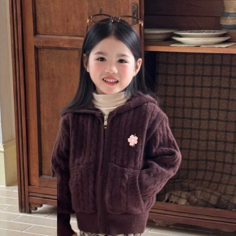 Korean boys and girls' spring, autumn and winter embroidery Fried Dough Twists zipper hooded sweater cardigan