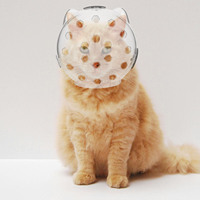 Clear Head Bubble Large Size Breathable Prevent Breathable Cat Hood Biting Cat Supply Recovery Cats Pet Supplies