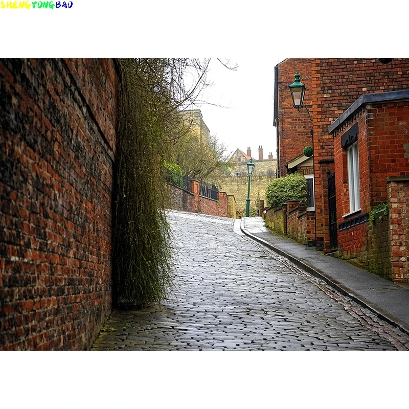 Vintage European Street View Scenery Photography Backdrops  Wedding Travel Photo Backgrounds Studio Props 21928 DFG-05