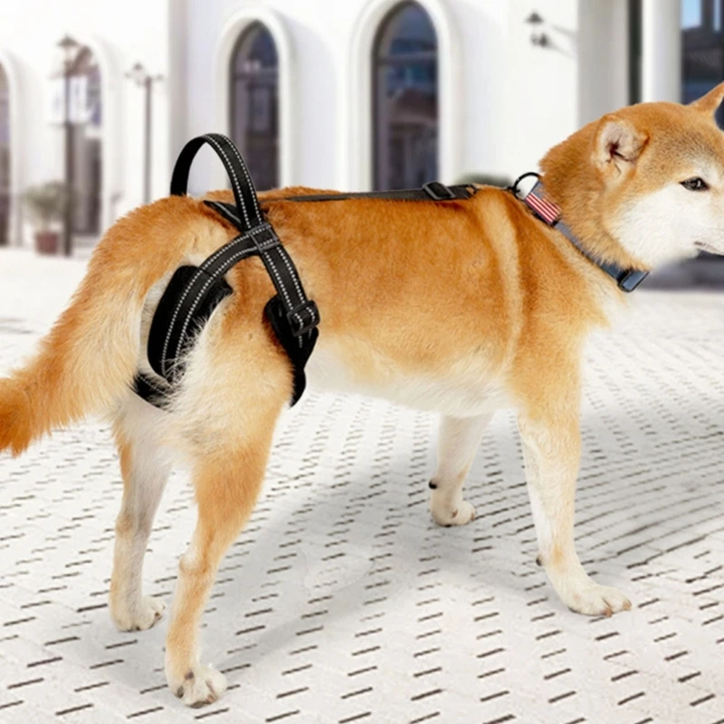 Multifunctional Mobility Assistance Harnesses Rehabilitation Dog Lift Harnesses for Disabled, Injured or Elderly Animals