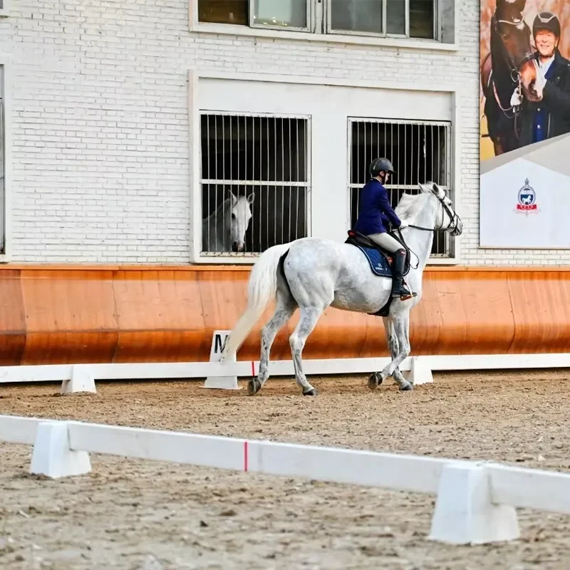 Quality White HDPE/Nylon UV Resistant Dressage Arena Adhering to Standard Dimensions (50x50x140cm) with Letter Marking System