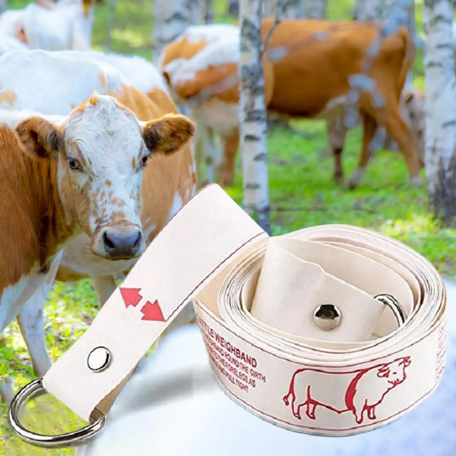 Animal Cattle Tape Measure Farm Supplies Equipment for Body Measurements