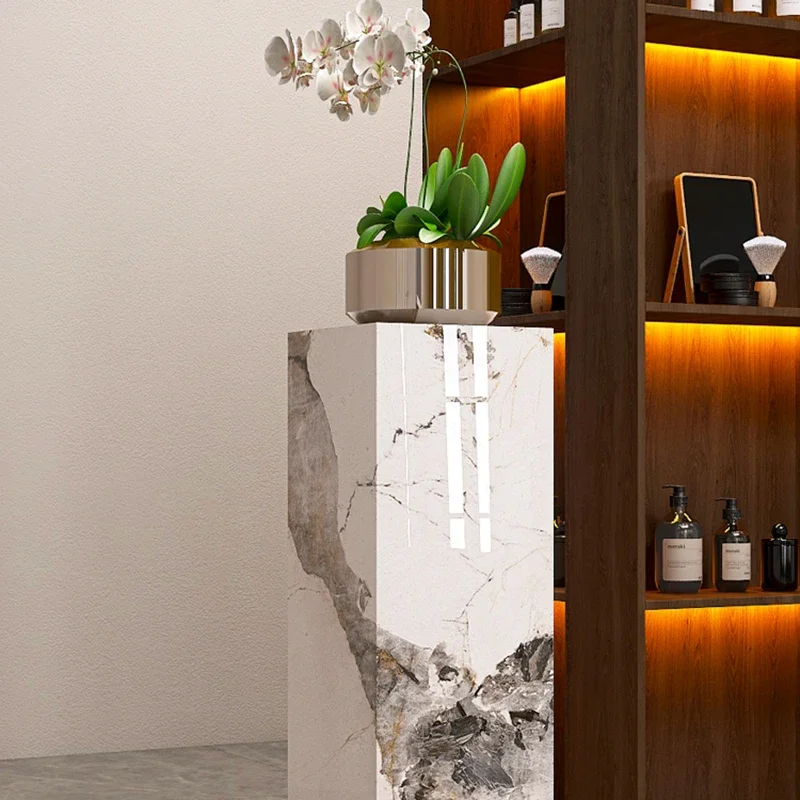 غرفة المعيشة زهرة الجرف رفوف النباتات الديكور الداخلي رفوف النباتات الفاخرة المتقدمة غرفة نوم حديقة الأثاث دعم FYPS