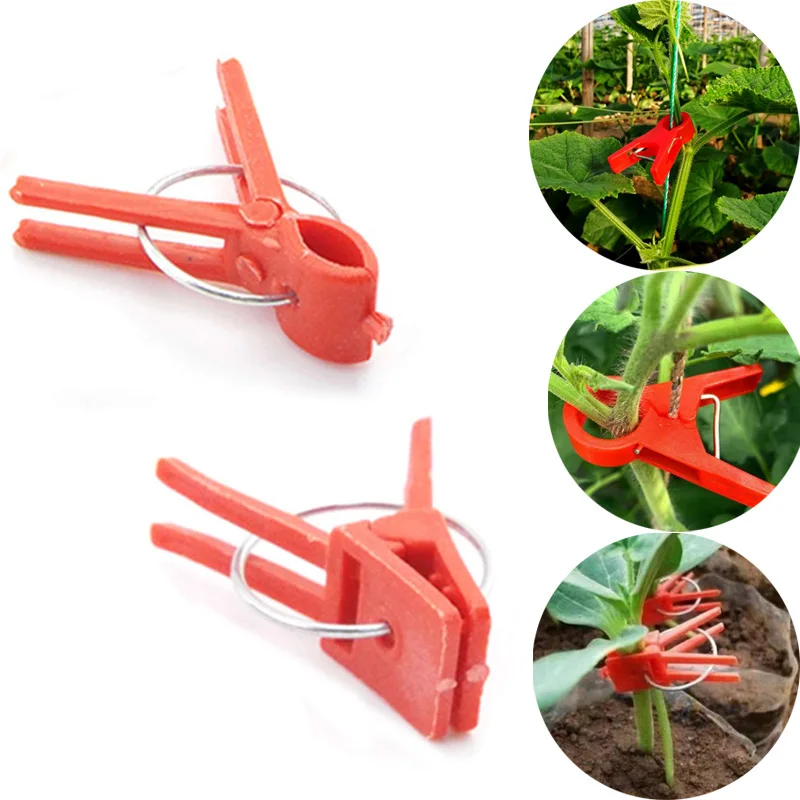 Garden Graft Clip Plastic Plant Support Clips Anti-fallClamps For Plants Vine Garden Greenhouse Vegetables Tomatoes Watermelon