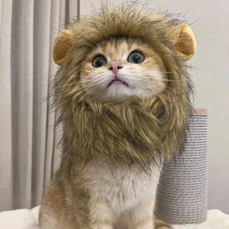 Cute Lion Mane Cat Wig Hat Funny Pets Clothes Cap Decor Costume Cosplay  Lion Wig Fancy Hair Dog Hat with Ears Party Supplies