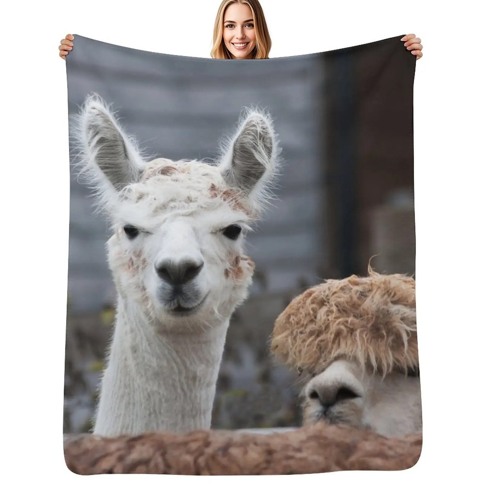Curious alpacas cute animals Throw Blanket Tourist Furrys Hairy Decorative Beds Moving Sofa Blankets