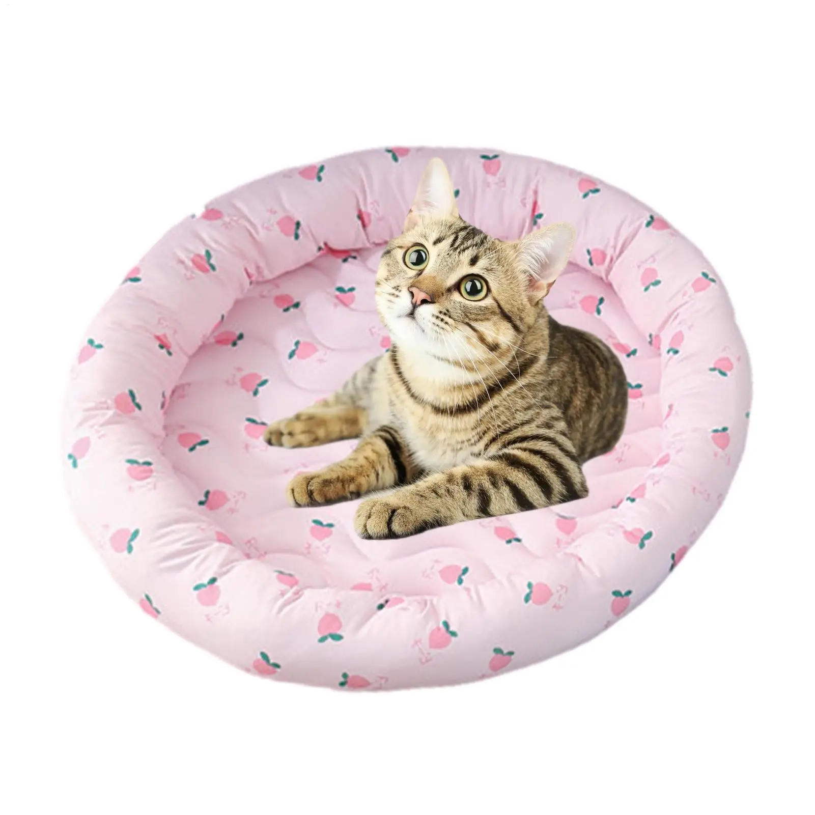 

Круглый коврик для домашних животных, летняя охлаждающая подставка для домашних животных, круглая моющаяся охлаждающая подставка для домашних животных, самоохлаждающееся одеяло для собак, дышащая холодная шелковая кровать для кошек