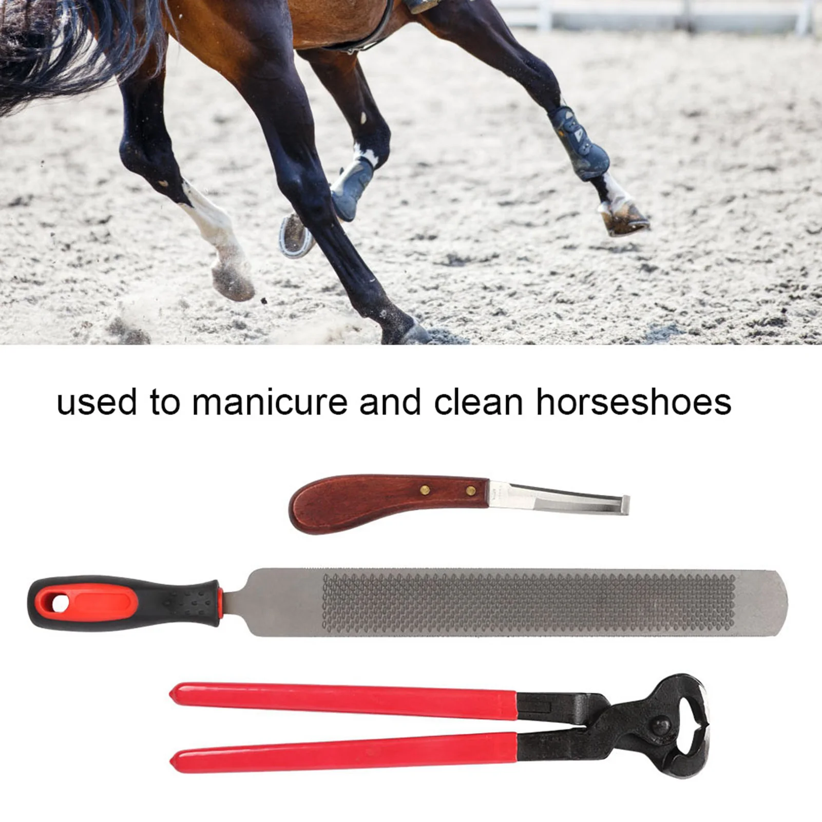 

Professional Metal Shears Trimming Horse Equine Farriers Hoof Nipper Cutter Handle Knife Tools