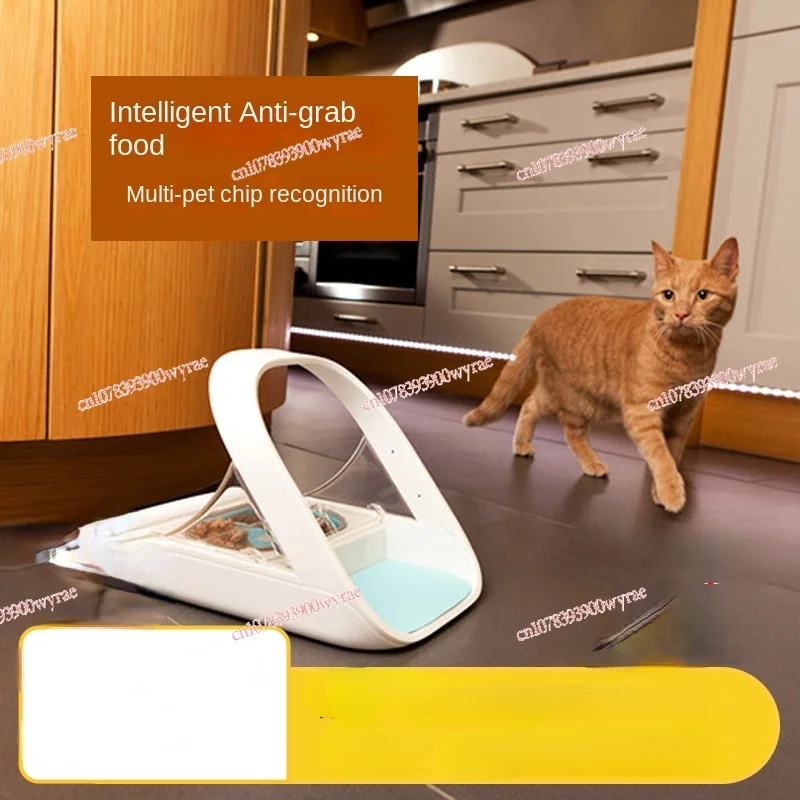 Indução automática Pet Alimentador, preservação de alimentos molhados, gato tigela, acessórios à prova de insetos, altura Raiser, tampa traseira