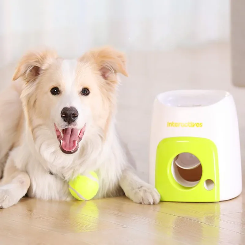 

Gravity Dog Tennis Ball Launcher with Treat Reward